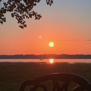 Meet your Posher, Rosalie